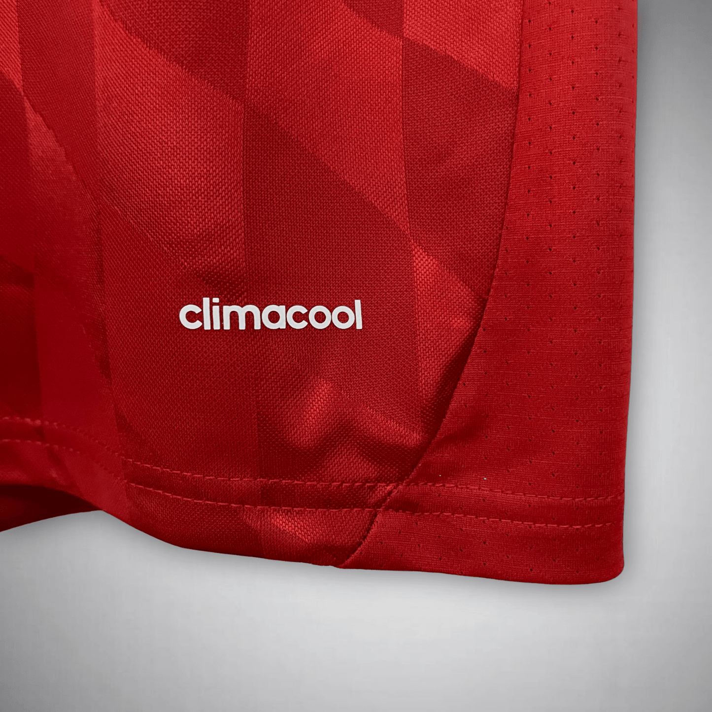 13/14 FC Bayern Home Premium Kit