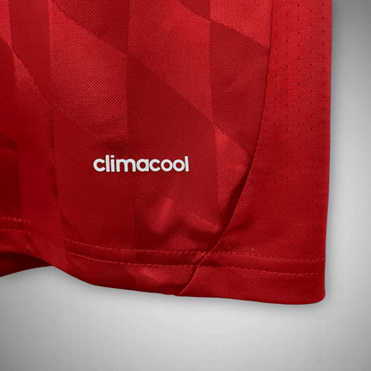 13/14 FC Bayern Home Premium Kit