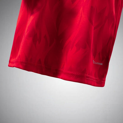 2026 Belgium Home Kids Size Kit from FootballPrestige.shop - Premium Concept kits