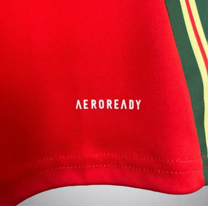 Wales 2024 Home Kit